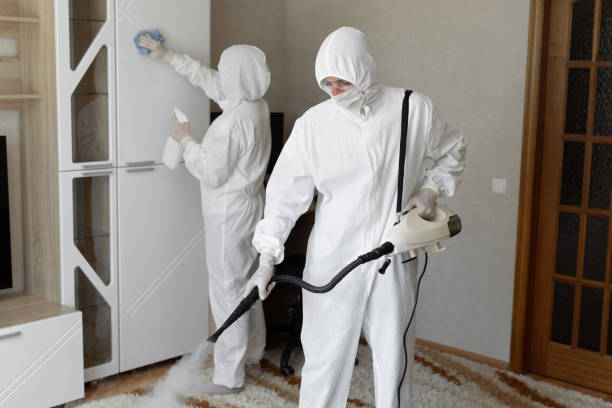 Professional Mold Remediation in Deer Park, OH